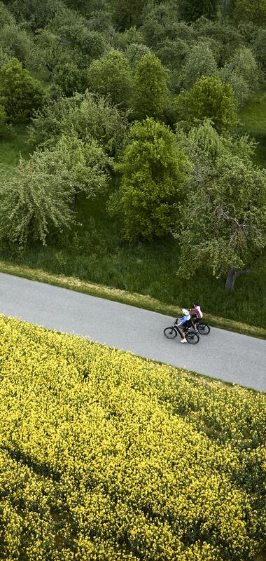 Radtour in Distelhausen im Taubertal, Baden-Württemberg, Deutschland