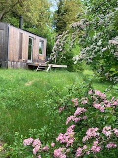 Cabins