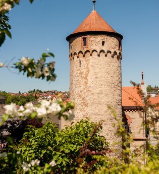 Bild eines Steinturmes mit einem spitzen Dach. Im Vordergrund sind weiße Apfelblüten zu sehen. | © Stadt Osterburken