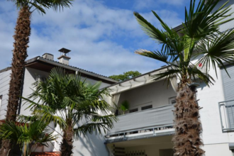 PalmGarden
