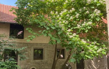 Uhlenmühle | © Unbekannt