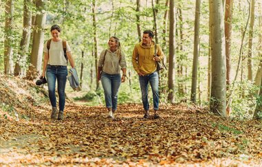 Wandern im herbstlichen Wald | Beilstein | © Touristikgemeinschaft HeilbronnerLand e.V.