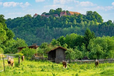 © Liebliches Taubertal