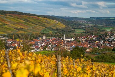 Ein Blick auf Markelsheim | © Thorsten Günthert