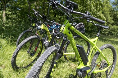 Drei hellgrüne E-Bikes stehen auf Wiese dahinter Büsche | © TMBW