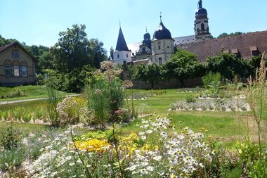 Im Garten blühen Arzneipflanzen und man kann auf das Kloster schauen | © Touristikgemeinschaft Hohenlohe e. V. | Hohenloher Gartenparadies
