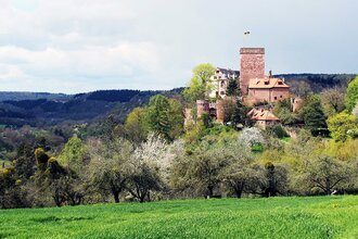 Burg und Burgpark Gamburg im Taubertal | © Unbekannt