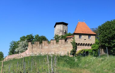 Blick auf die Burgfalknerei Hohenbeilstein | Beilstein | HeilbronnerLand | © Burgfalknerei Hohenbeilstein