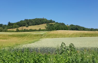 Der Einkorn mit grünen Feldern im Vordergrund | © Foto: Stadt Schwäbisch Hall, LF