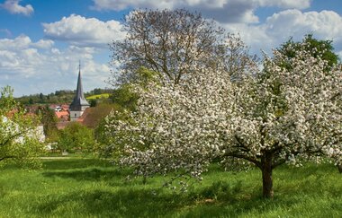 Evangelische Andreas-Kirche Kraichtal-Oberacker | © Land der 1000 Hügel - Kraichgau-Stromberg