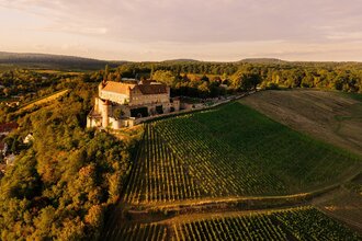 Burg Stettenfels im Abendlicht zwischen den Weinbergen | © Touristikgemeinschaft HeilbronnerLand e.V.