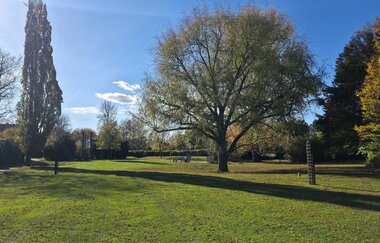 Wiesen im Gartenschaupark | © Gartenschaupark GmbH
