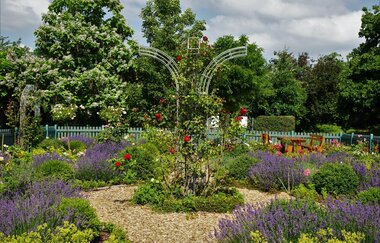 Rosengarten | © Verena Raab