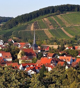 Sülzbach | Obersulm | HeilbronnerLand | © Tourismus im Weinsberger Tal