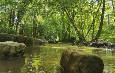 Spazierweg im Köpfertal | Heilbronn | HeilbronnerLand | © Touristikgemeinschaft HeilbronnerLand