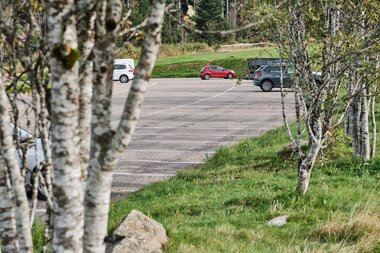 Autos auf Parkplatz hinter Birkenbäumen | © TMBW