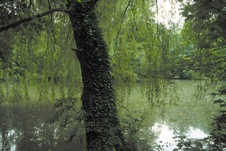 Pfannwaldsee | © Land der 1000 Hügel - Kraichgau-Stromberg