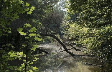 Pfannwaldsee | © Land der 1000 Hügel - Kraichgau-Stromberg