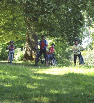 Eine Familie steht unter einem schattigen Lindenbaum | © Touristikgemeinschaft Hohenlohe e. V.  | Susanne Schleussner