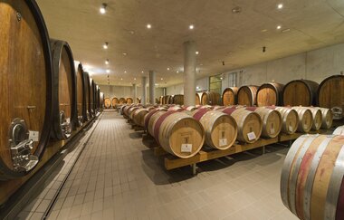 Führung mit Weinverkostung im Holzfasskeller des Staatsweingut Weinsberg | Weinsberg | HeilbronnerLand | © Staatsweingut Weinsberg