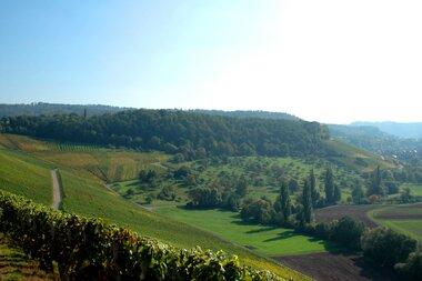Eschenauer Paradies | Obersulm | Weinsberger Tal | HeilbronnerLand | © Touristikgemeinschaft HeilbronnerLand e.V.