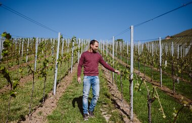 Familie Holzapfel des Weinguts Holzapfel | Neckarsulm | HeilbronnerLand | © Weinausschank Weingut Holzapfel