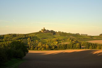 Weingut Burg Ravensburg | © Heitlinger Genusswelten