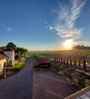 Weingut Kurz-Wagner - Aussichtslage auf dem Haigern | Talheim | HeilbronnerLand | © Weingut Kurz-Wagner