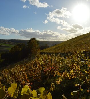 Weingut Udo Engelhardt