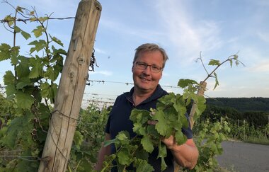 Der Winzer pflegt die Rebstöcke im Weinberg | © Touristikgemeinschaft Hohenlohe e.V. | Weingut Ungerer