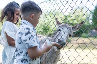 Wildpark Schwarzach | © Stadt Sinsheim