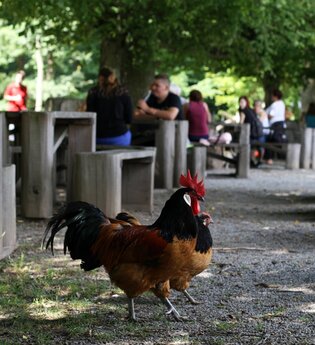 Wildtierpark Bad Mergentheim | © Wildtierpark Bad Mergentheim