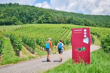 Weinwandern in Hohenlohe | © Hohenlohe Künzelsau