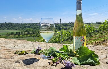 Naturspaziergang mit Verkostung | © Stadt Bönnigheim