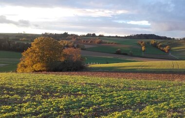 Aufnahme von einer landwirtschaftlichen Fläche | © Land der 1000 Hügel - Kraichgau-Stromberg