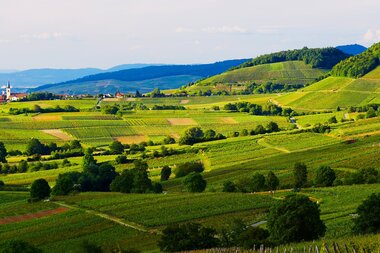 © Werbegemeinschaft Markgräflerland GmbH
