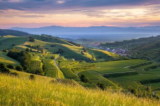 Badischer Weinradweg - Etappe 2: Kaiserstuhl/Tuniberg | © Naturgarten Kaiserstuhl GmbH