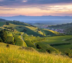 © Naturgarten Kaiserstuhl GmbH