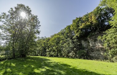 Bühlertal-Rundwanderung: Kräuter und Beeren am Wegesrand | © Hohenlohe + Schwäbisch Hall Tourismus e. V.