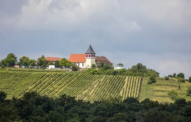 Michaelsberg | © Stadt Bönnigheim