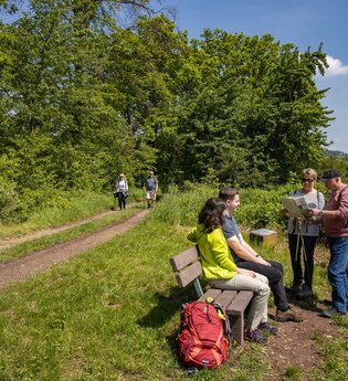 Drei-Bäche-Weg | © TOURISMUS REGION WERTHEIM GmbH
