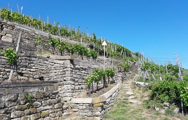 Enzschleifen-Rundweg | © Land der 1000 Hügel - Kraichgau-Stromberg