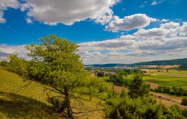 Erlebnistour 11: Taubertal und Gaubahn | © Liebliches Taubertal