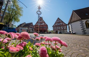 Etappe 6: Esslingen -  Metzingen | Württemberger Weinradweg | © Stuttgart-Marketing GmbH