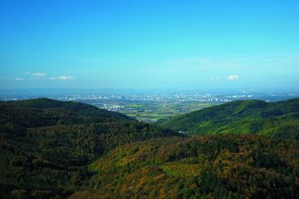 Höhepunkte im Odenwald | © Quelle: Landratsamt Rhein-Neckar-Kreis