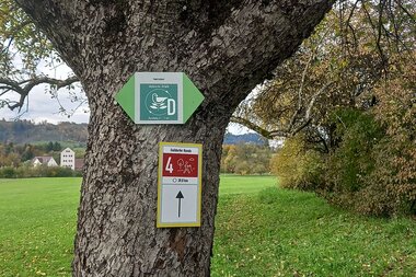Wanderwegweiser an einem Baum, im Hintergrund grüne Hecken und Wiese | © Petra Natzkwoski