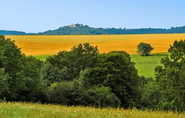 Ausblick auf Schloss Waldenburg | © Touristikgemeinschaft Hohenlohe e. V.