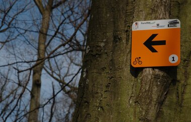 IVB MTB  Tour 1 Stadtwaldrunde am Gaffenberg | HeilbronnerLand | © Touristikgemeinschaft HeilbronnerLAnd