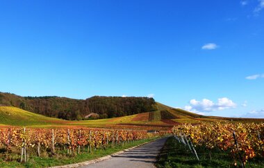 Kraichgau-Stromberg: Fachwerkdorf-Tour