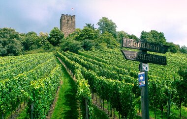 Kraichgau-Stromberg: Kraichgau-Blick-Tour | © Land der 1000 Hügel - Kraichgau-Stromberg